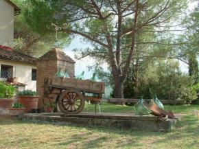 Agriturismo Corte Di Valle